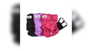 Best Washable Dog Diapers for Comfort, Durability, and Leak Protection