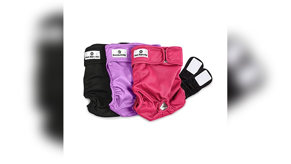 Best Washable Dog Diapers